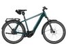 Riese & Müller Charger 5 Vario 49cm Pine Kiox 500 Gepäckträger 800Wh 2026